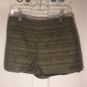 BCBG Black and Gold Winter shorts NWT